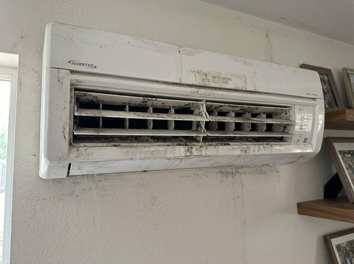 Can Mold Really Grow Inside a Mini Split? (Yes — Here’s Why)